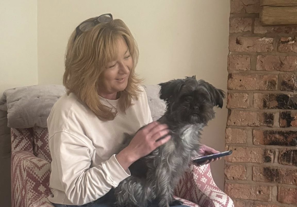 Image of Coco the Shorkie