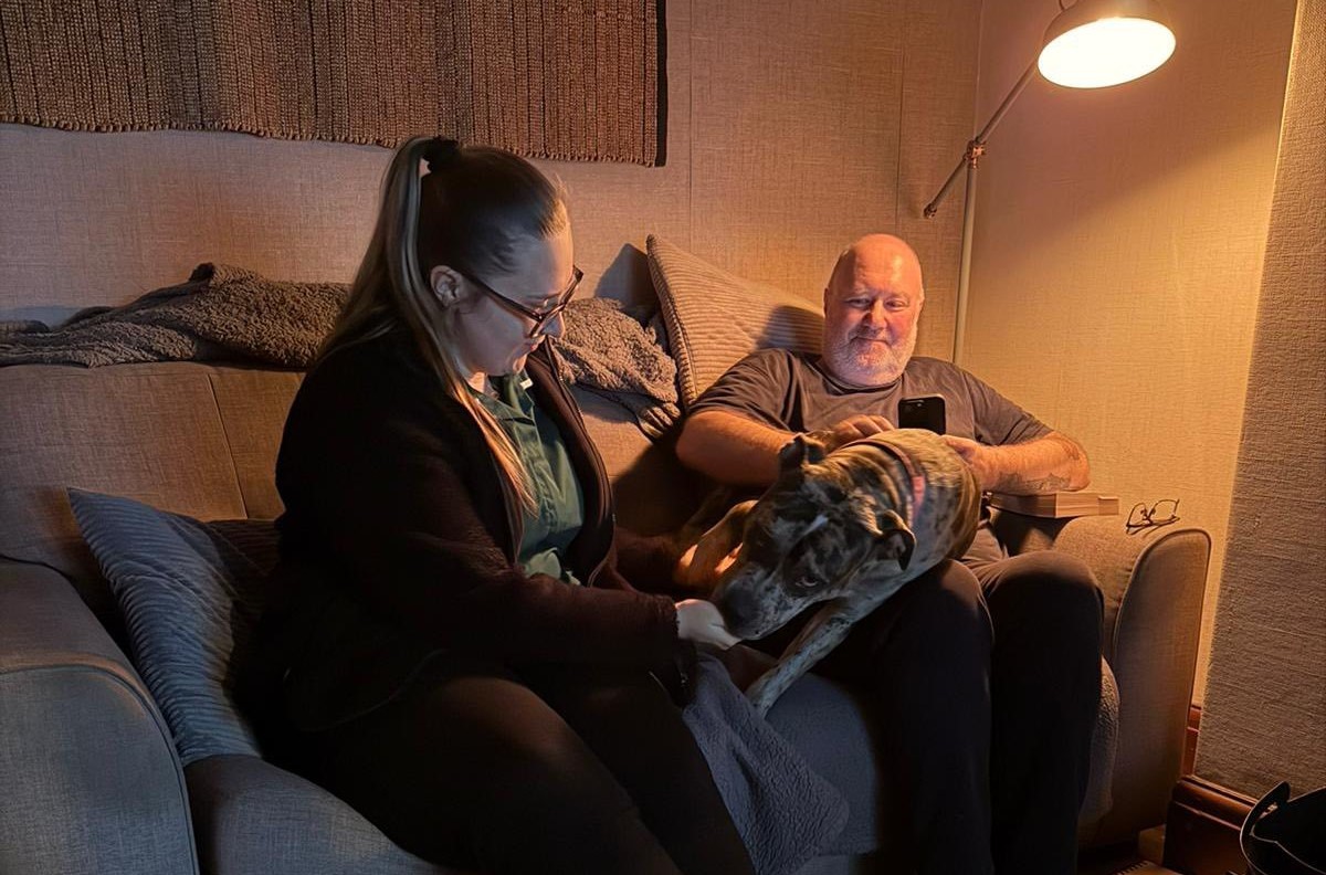 Image of Delta the Staffy Cross