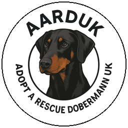 Adopt A Rescue Dobermann UK