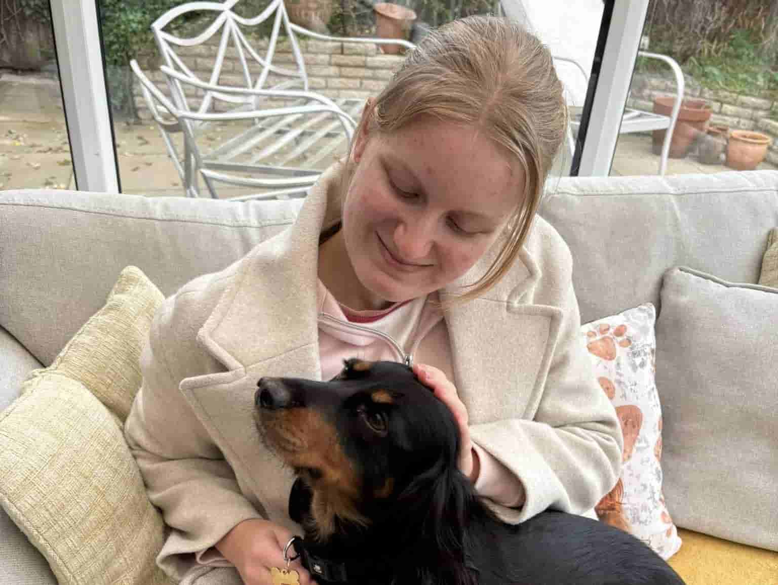 Image of Penny the Working Cocker Spaniel