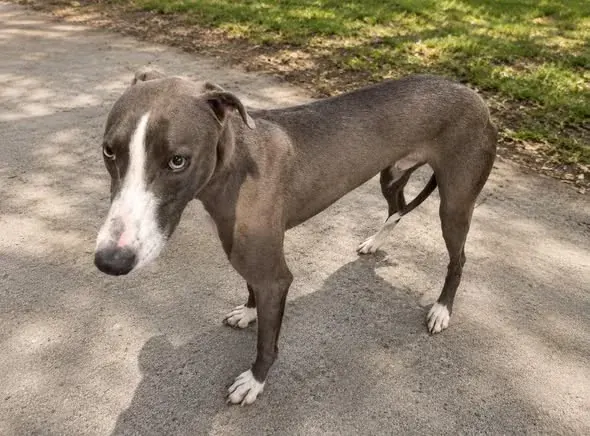 Buzz beginning his new life after rescue