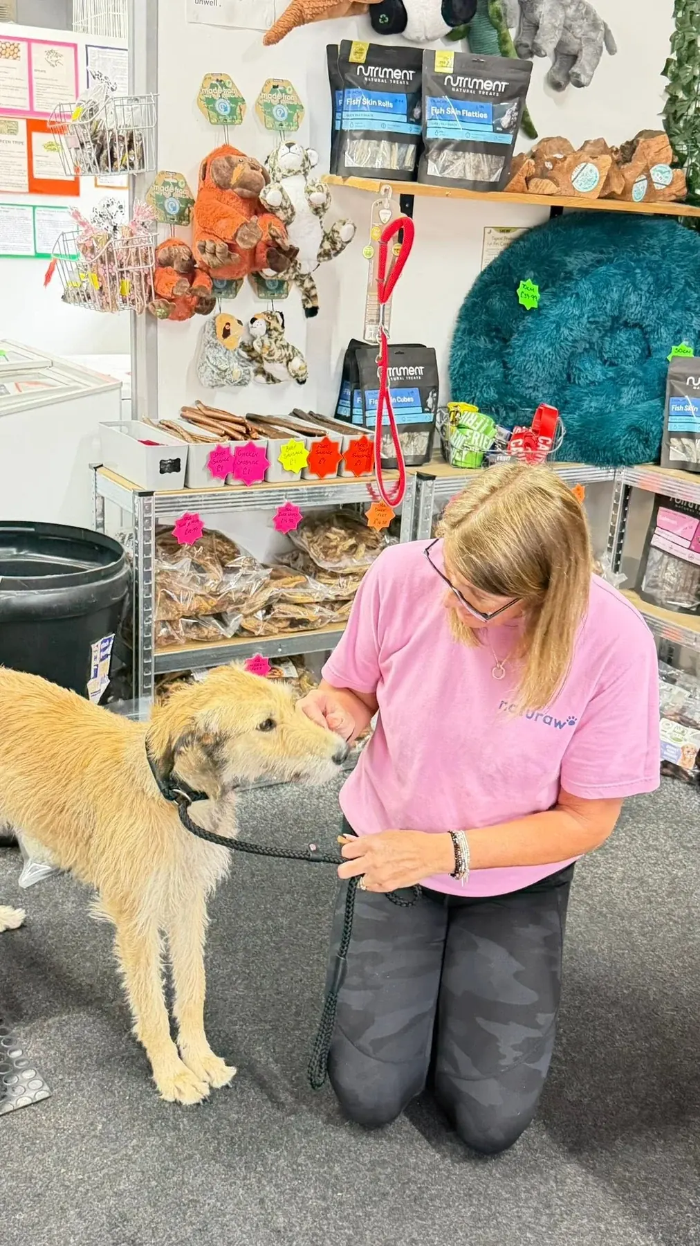 Ferne enjoying reassurance and care at K9 Raw