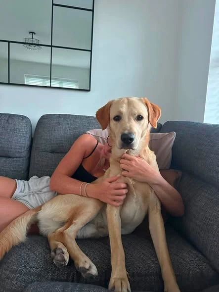 Zeus relaxing at home with a member of his foster family