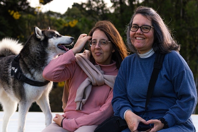 Image of Dog owner receiving support from the team with the dog present